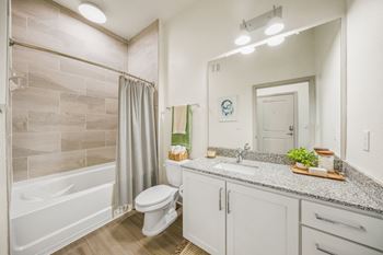 a bathroom with a shower toilet and a sink